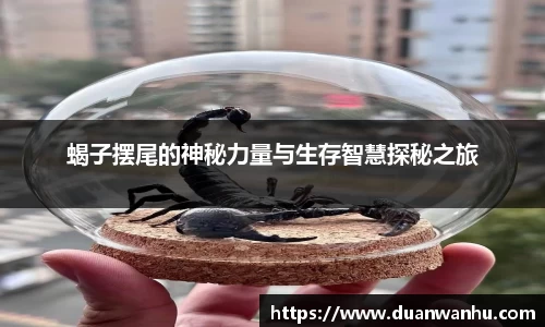风云体育手机最新版本